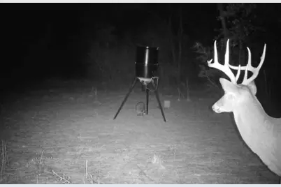 X Eagles Way, Defuniak Springs, FL 32433 - Photo 22