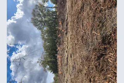 Lot 23 Seacoast Way, Defuniak Springs, FL 32433 - Photo 38