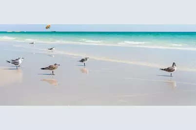 59 Ballamore Cove, Miramar Beach, FL 32550 - Photo 8