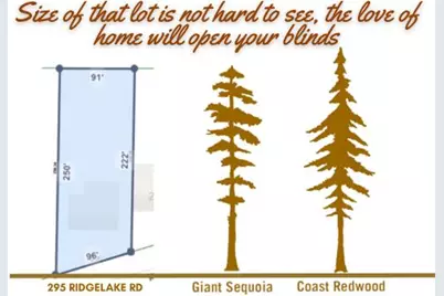 295 Ridge Lake Road, Crestview, FL 32536 - Photo 30