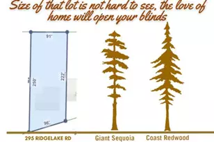 295 Ridge Lake Rd, Crestview, FL 32536 - Photo 30