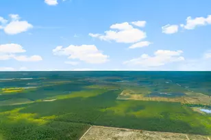 2601 E Hwy 20 E, Panama City, FL 32409 - Photo 98