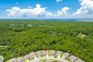 157 JRS Wy, Santa Rosa Beach, FL 32459 - Photo 46