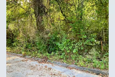 .47Ac. Jordan Street, Defuniak Springs, FL 32433 - Photo 2