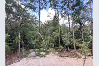 237 Foxglove Run, Niceville, FL 32578 - Photo 4