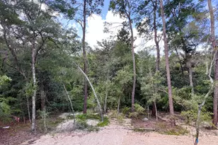 237 Foxglove Run, Niceville, FL 32578 - Photo 4