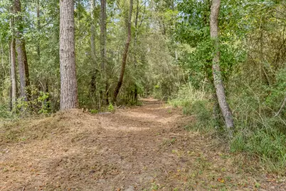 1955 N Highway 181 N, Westville, FL 32464 - Photo 52