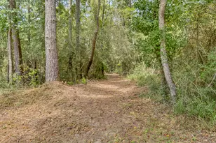 1955 N Hwy 181 N, Westville, FL 32464 - Photo 52