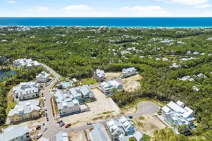 50 String Lily Cv, Santa Rosa Beach, FL 32459 - Photo 54