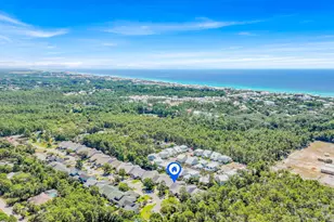 231 Via Largo, Santa Rosa Beach, FL 32459 - Photo 50