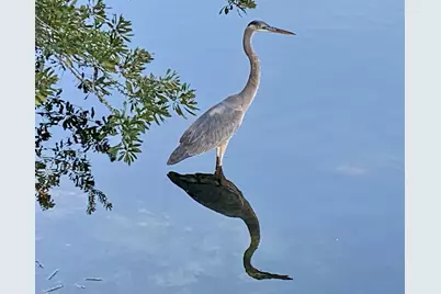 266 Calusa Boulevard, Destin, FL 32541 - Photo 50