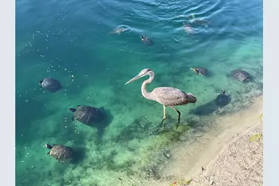 266 Calusa Boulevard, Destin, FL 32541 - Photo 52