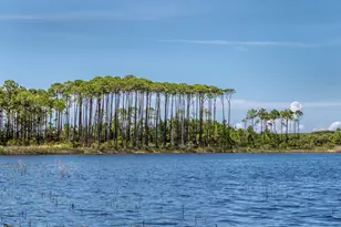 114 Sunset Ridge Ln, Santa Rosa Beach, FL 32459 - Photo 90