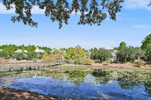 11 Acorn Way, Santa Rosa Beach, FL 32459 - Photo 62