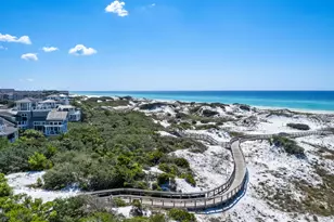 10 Coopersmith Lane, Inlet Beach, FL 32461 - Photo 60
