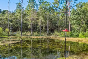 5220 Stallion Dr, Crestview, FL 32539 - Photo 2