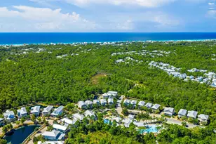 856 Sandgrass Boulevard, Santa Rosa Beach, FL 32459 - Photo 64