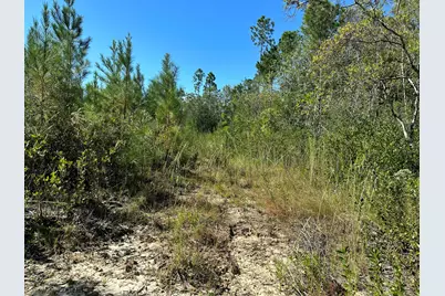 Parcel B Millside Road #<, Laurel Hill, FL 32567 - Photo 10