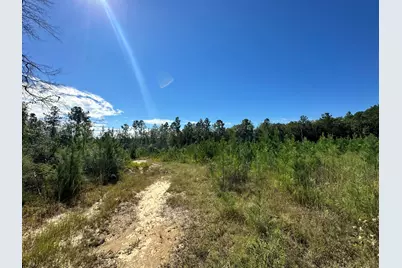 Parcel B Millside Road #<, Laurel Hill, FL 32567 - Photo 6