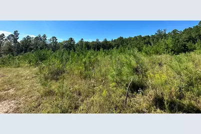 Parcel B Millside Road #<, Laurel Hill, FL 32567 - Photo 2