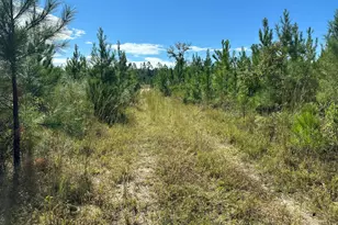 Parcel B Millside Rd, Laurel Hill, FL 32567 - Photo 1