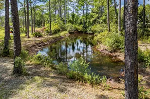 523 Woodland Bayou Dr, Santa Rosa Beach, FL 32459 - Photo 80