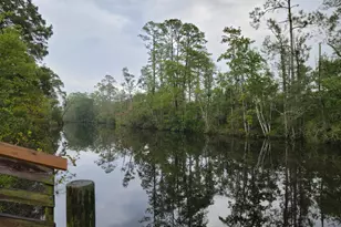 146 Old Canoe Ln, Freeport, FL 32439 - Photo 46