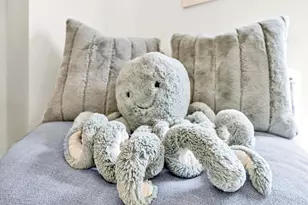 53 Porpoise St, Santa Rosa Beach, FL 32459 - Photo 56