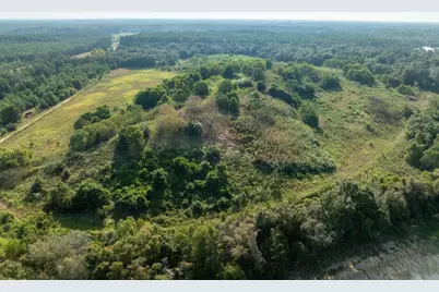 22 Acres W St Highway 20 W, Freeport, FL 32439 - Photo 20