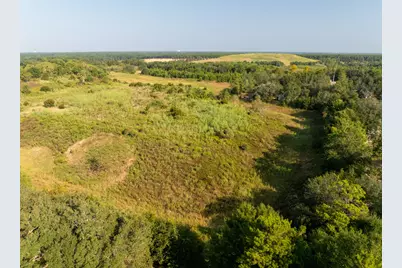 22 Acres W St Highway 20 W, Freeport, FL 32439 - Photo 12