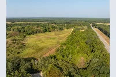 22 Acres W St Highway 20 W, Freeport, FL 32439 - Photo 10