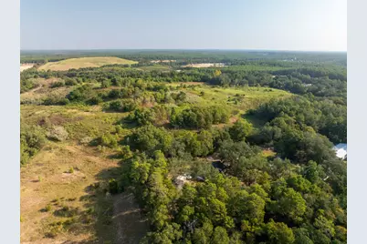 22 Acres W St Highway 20 W, Freeport, FL 32439 - Photo 18