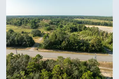 22 Acres W St Highway 20 W, Freeport, FL 32439 - Photo 6
