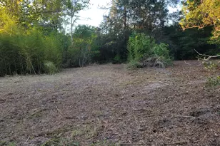 253 Argyle Church Rd, Defuniak Springs, FL 32433 - Photo 4