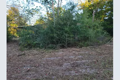 253 Argyle Church Road, Defuniak Springs, FL 32433 - Photo 6