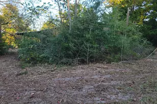 253 Argyle Church Rd, Defuniak Springs, FL 32433 - Photo 6