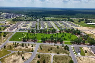 214 Sweetthorn St, Freeport, FL 32439 - Photo 36