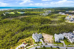 107 Golfridge Dr, Inlet Beach, FL 32461 - Photo 90