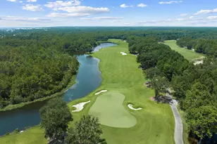 724 Windsong Dr, Inlet Beach, FL 32461 - Photo 114