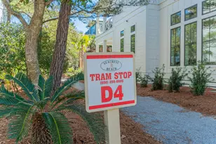 212 E Seacrest Beach Blvd E, Inlet Beach, FL 32461 - Photo 38