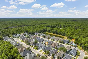 209 Blakely Drew Blvd, Santa Rosa Beach, FL 32459 - Photo 4