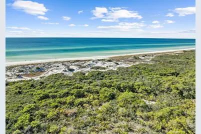 244 W Park Place Avenue W, Inlet Beach, FL 32461 - Photo 40