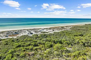 244 W Park Pl Ave W, Inlet Beach, FL 32461 - Photo 40