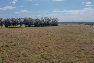 510 Railroad Ave, Defuniak Springs, FL 32433 - Photo 56