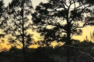 34 Heron's Watch Way, Santa Rosa Beach, FL 32459 - Photo 48