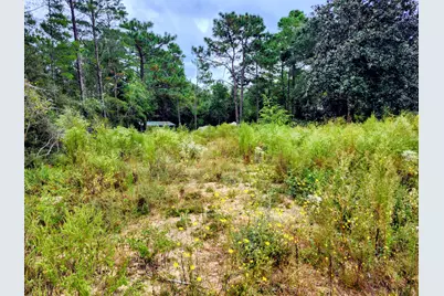 Lot 21 Cottage Hill Drive, Defuniak Springs, FL 32433 - Photo 1