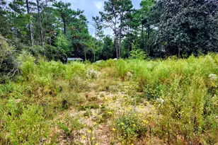 Lot 21 Cottage Hill Dr, Defuniak Springs, FL 32433 - Photo 1