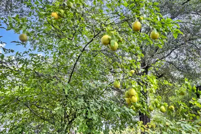 226 S 19th Street S, Defuniak Springs, FL 32435 - Photo 46