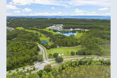 119 Anastasia Circle, Inlet Beach, FL 32461 - Photo 42