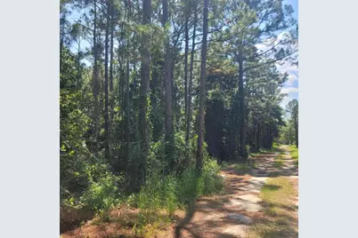 Lot 21 Santa Maria Drive, Santa Rosa Beach, FL 32459 - Photo 4